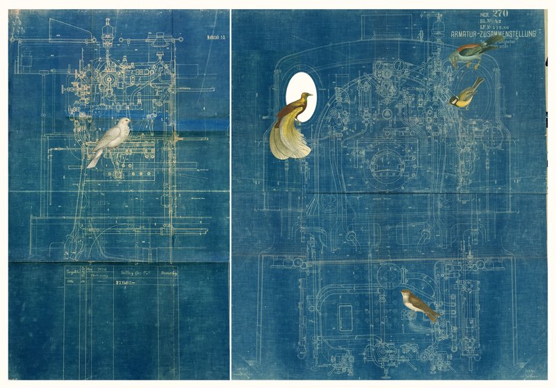 Farshid Larimian, Den No 3, 2018