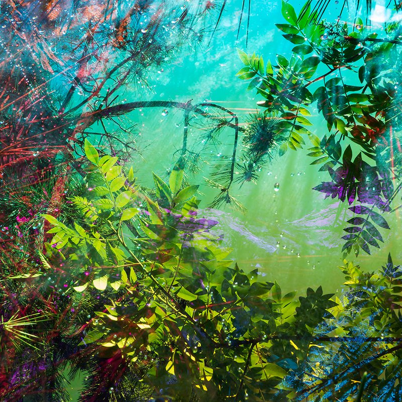 Karine Laval, Heterotopia 10, 2016