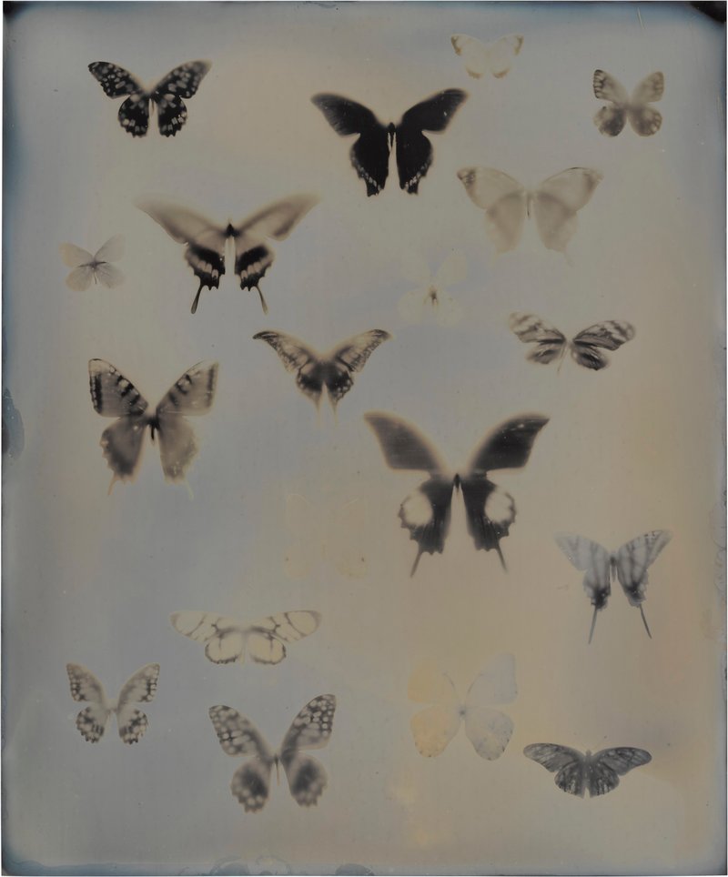 A Life Among Artists- Contemporary Photographs from an Esteemed Private Collection