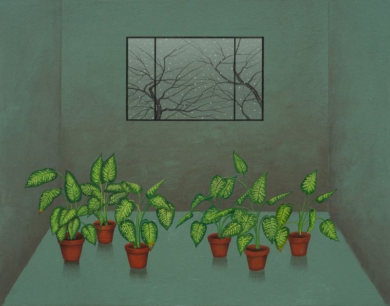 Katayoon Hosseinrad, Untitled, 2026