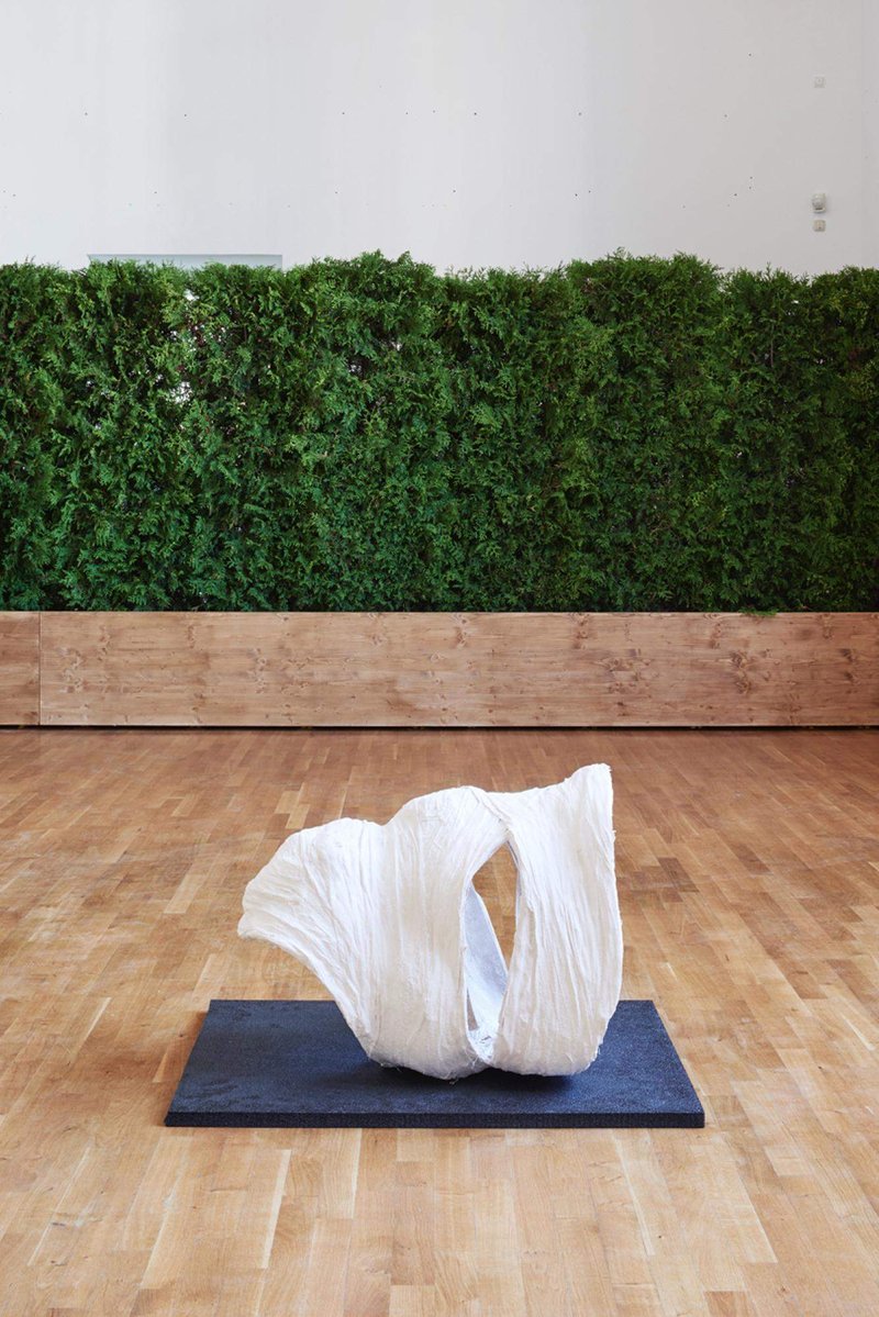 Abbas Akhavan, If the first metaphor was animal, 2017