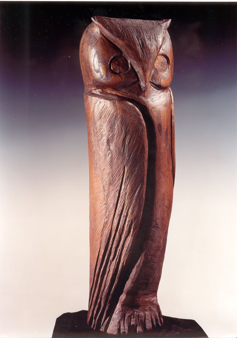 Simin Ekrami, Owl