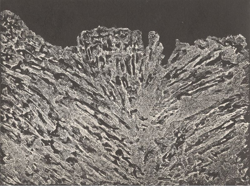Marjan Khoram GolKaran, Untitled