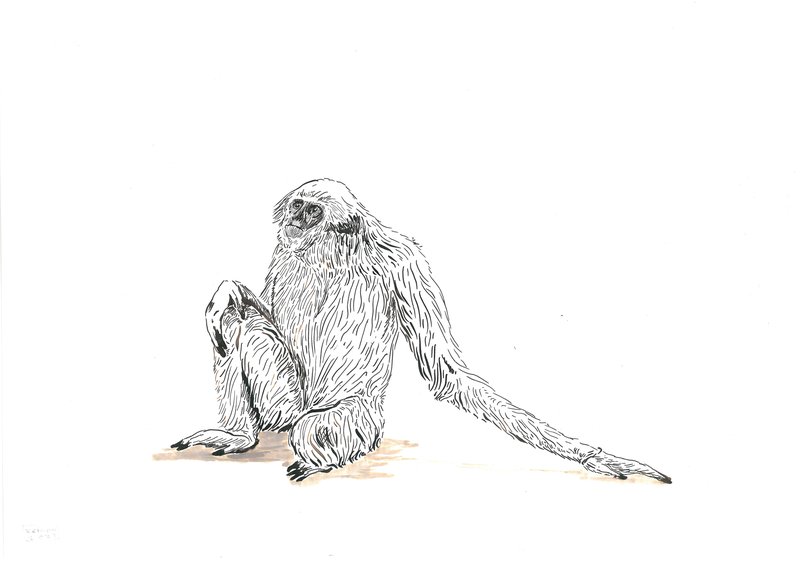Keiman Mahabadi, Untitled, 2021
