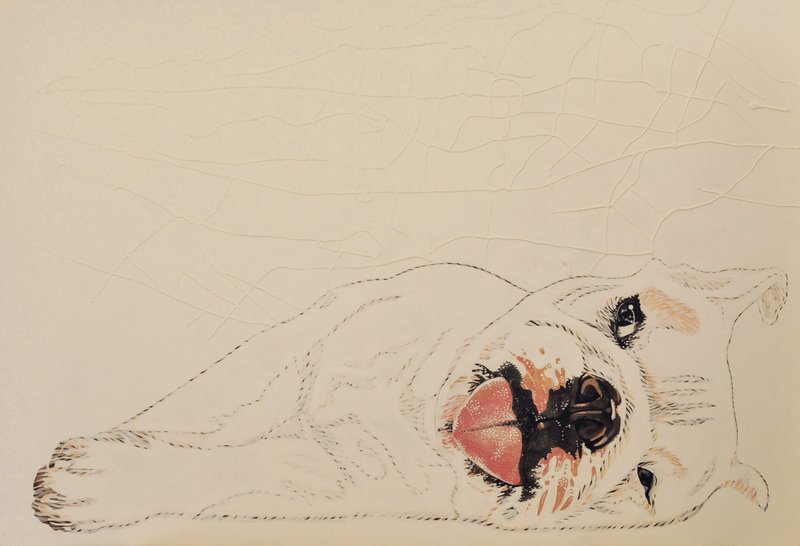 Elnaz Farajollahi, Untitled, 2013