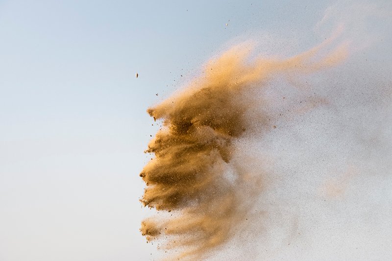 Negar Yaghmaeian, The Smell of Earth and Tree, 2020
