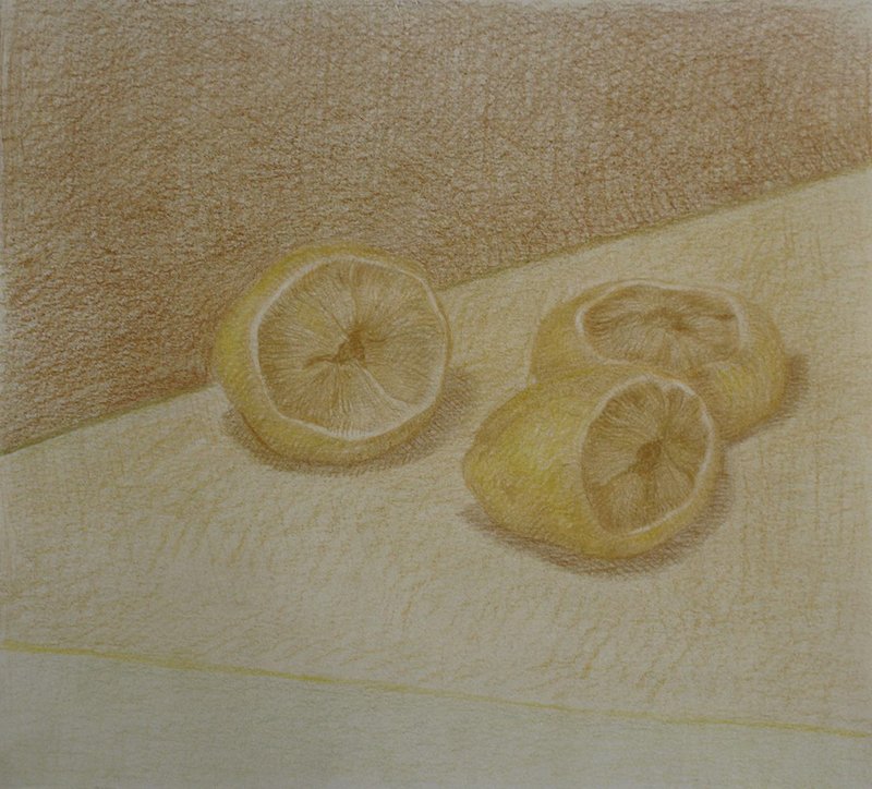 Neda Mirhosseini, Lemons, 2021