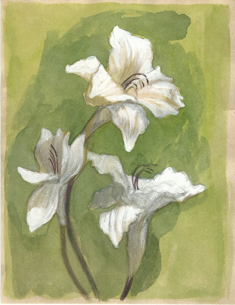 Hosein Shirahmadi, Flowers no.11, 2020