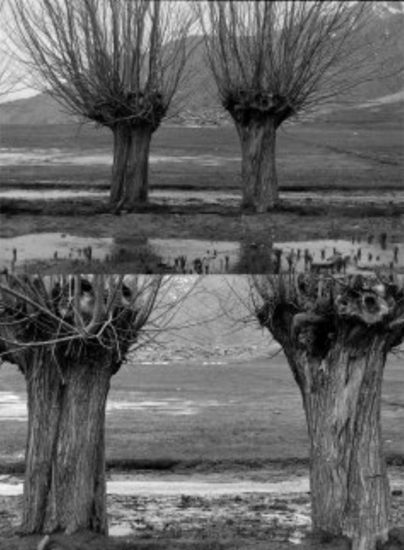 Jalal Parvizhamidi, Untitled