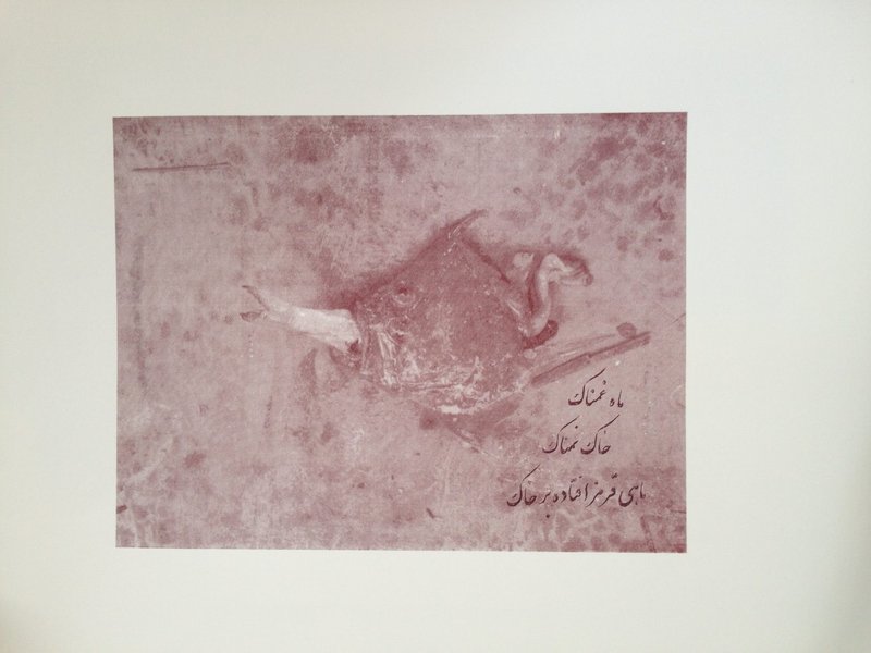 Ahoo Maher, Fishes, 2014