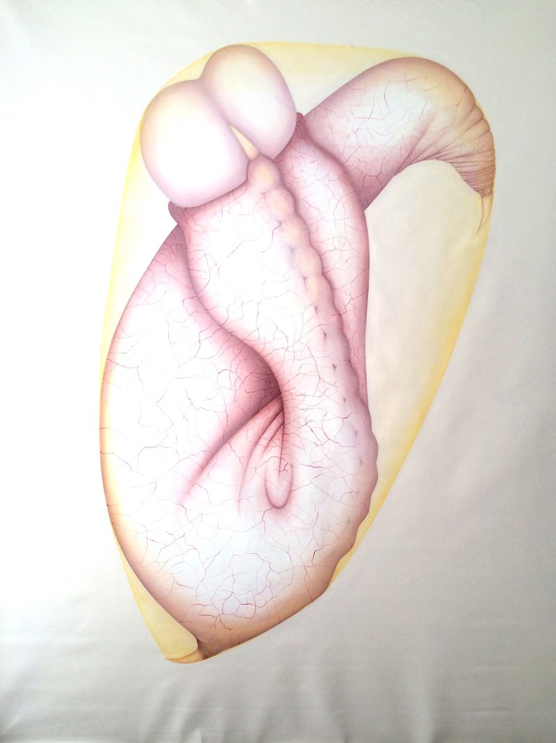 Azin Osati, Untitled 2, 2014