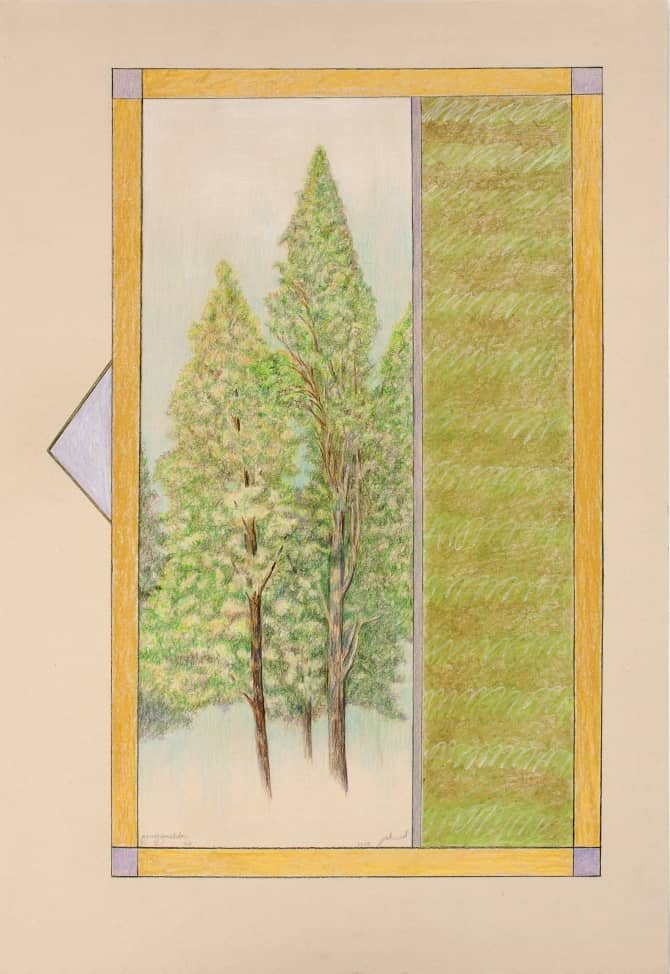 Omid Bonakdar, Untitled