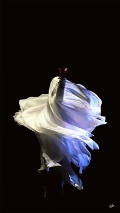 Mohammad Farnood, Flight to the Light, 2004