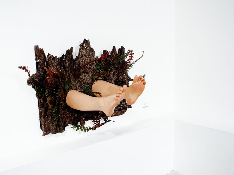 Faxteh Shamsian, Swallow, 2019