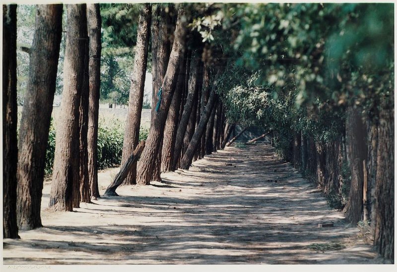 Abbas Kiarostami, Untitled, 1992