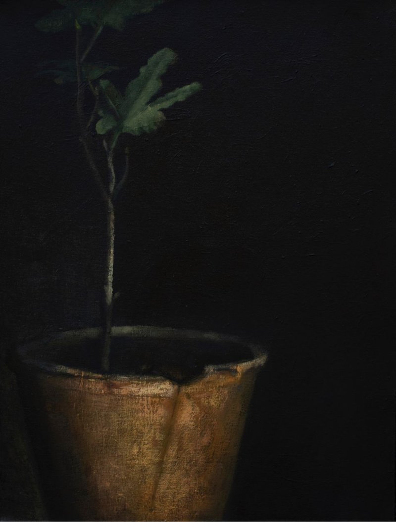 Sima Bagherzadeh, Untitled