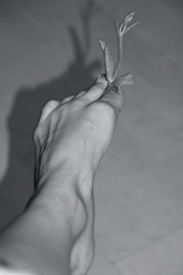 Hasti Najafi, Untitled, 2023