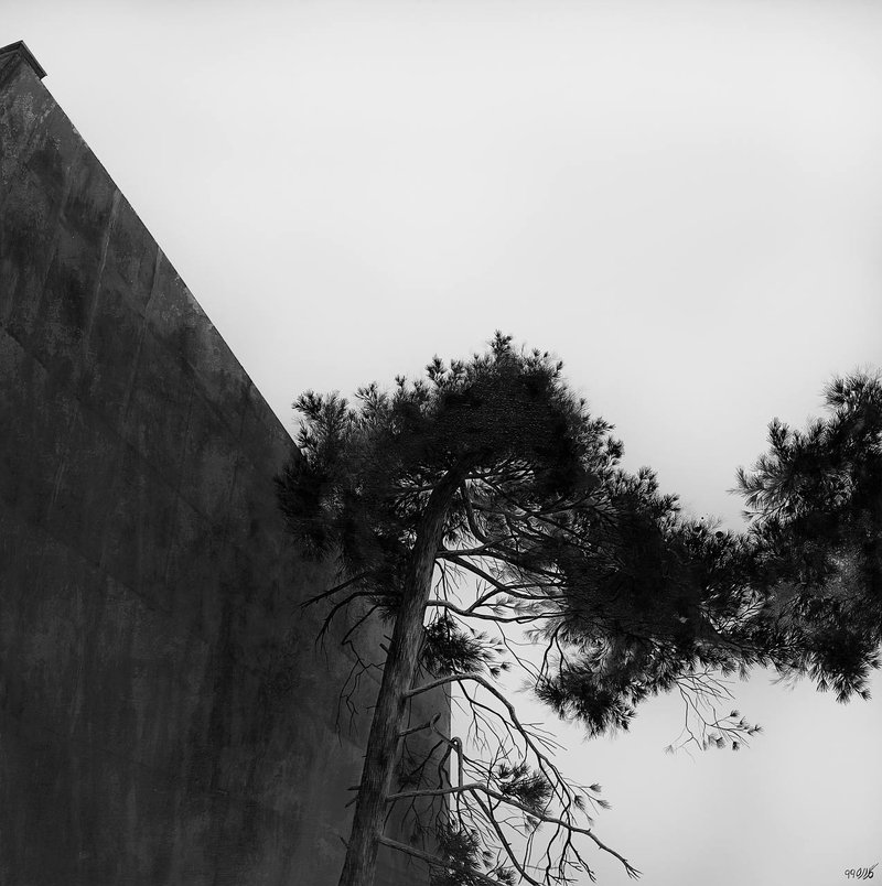 Gelareh Goudarzi, Untitled