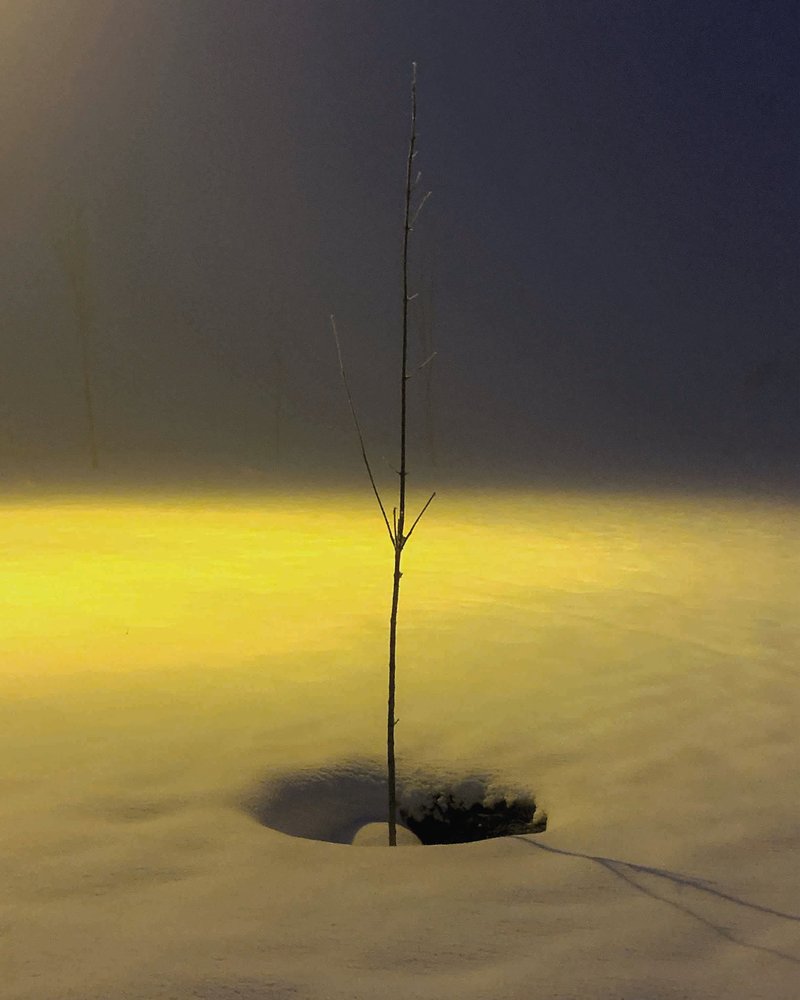 Nasim Razmazar, Untitled, 2020