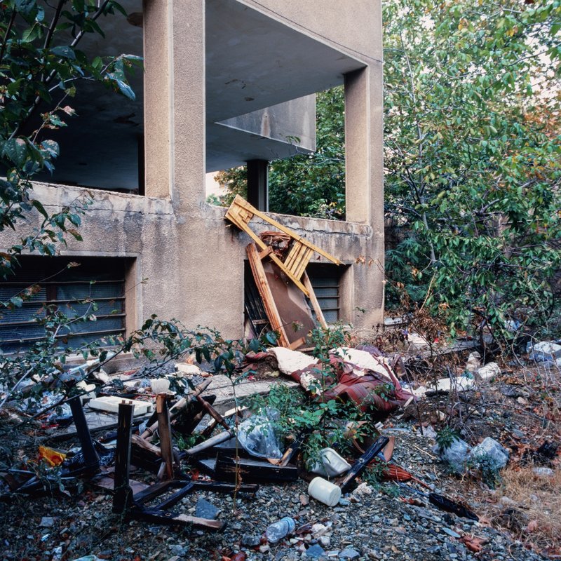 Ashkan Daneshmand, Untitled, 2025