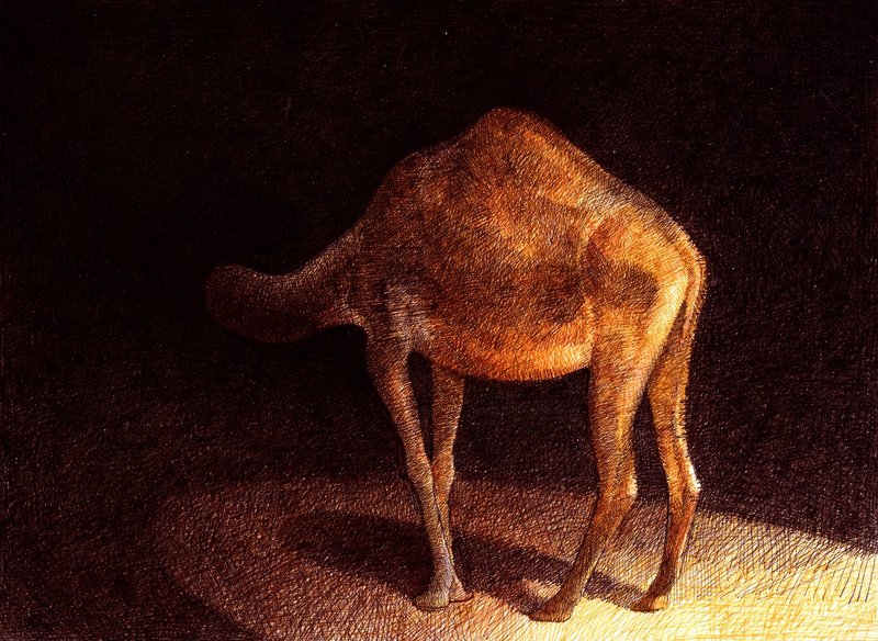 میرمحمد فتاحی، پنجره، 1399