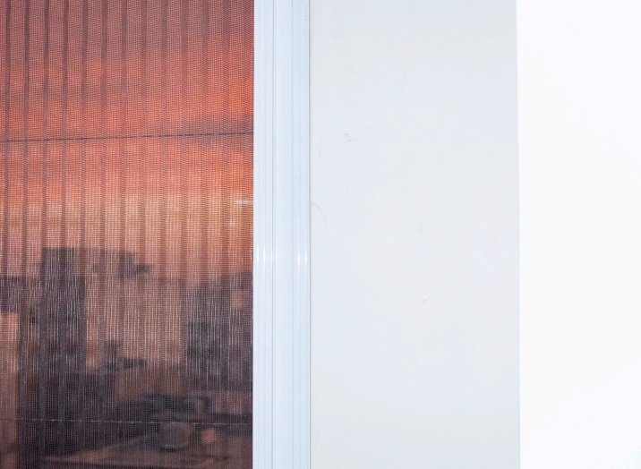 Golara Jahanian, Untitled, 2024