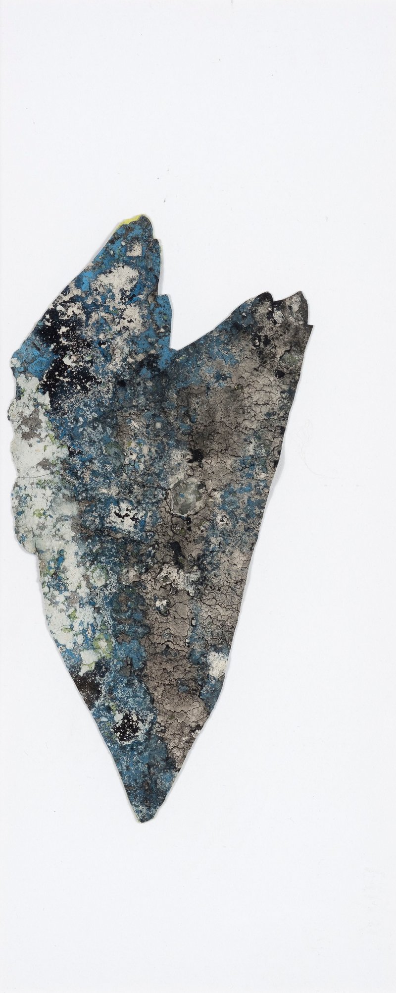 Farniyaz Zaker, Untitled, 2021