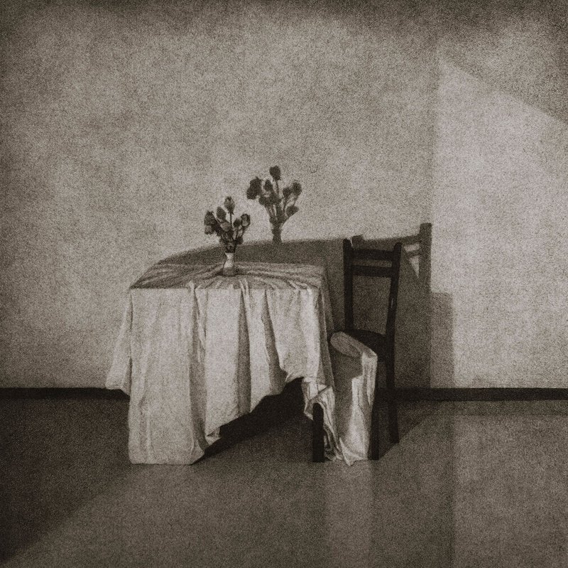 Zahra Rezadoost, Untitled, 2023