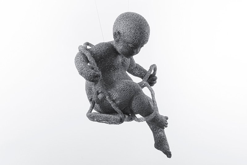 Paridokht Moshkzad, Swinging Mate, 2022
