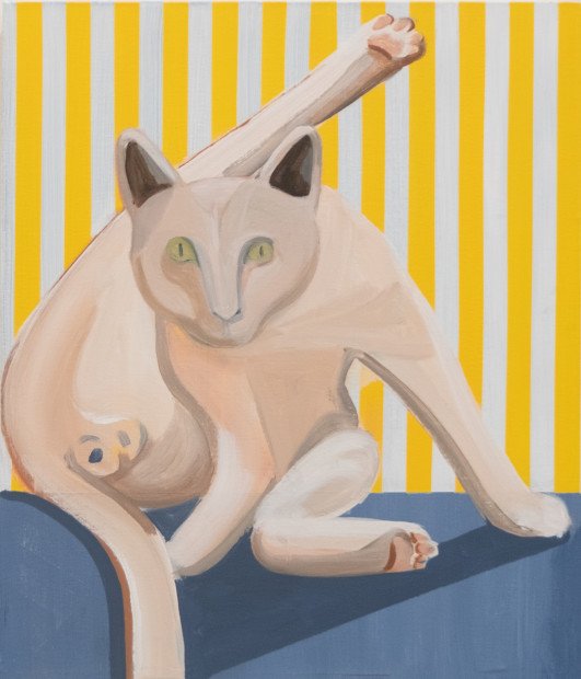 Hesam Rahmanian, The Pets We Love, 2018