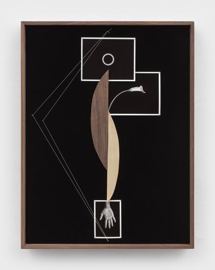 Sheree Hovsepian, Model, 2022