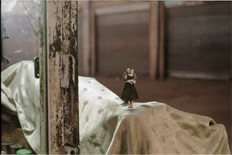 Sahar Mokhtari, Untitled