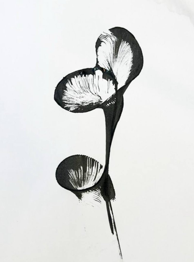 Mohammad Mardi, Untitled