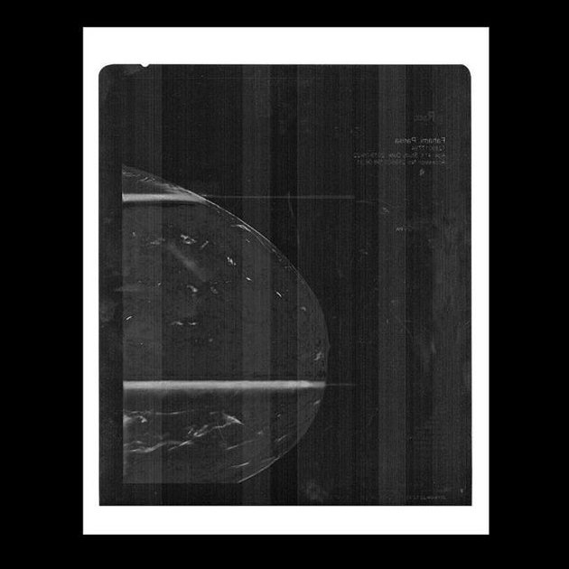 Parisa Fahami, Untitled
