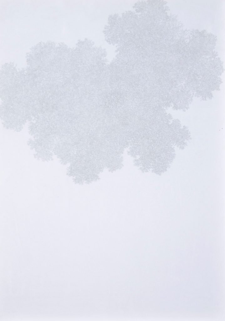 Samira Ahmadi Ghotbi, Untitled, 2019