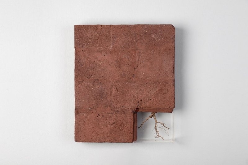 Amir Mousavizadeh, The Root, 2021