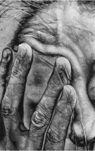 Shaya Shahrestani, Witness 1, 2022