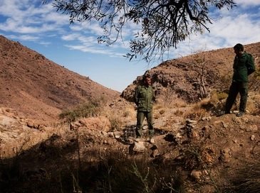 Marjan Yazdi, From Poachers to Protectors
