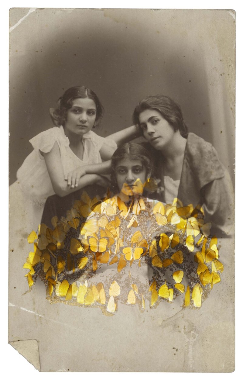 Nazli Abbaspoor, Untitled