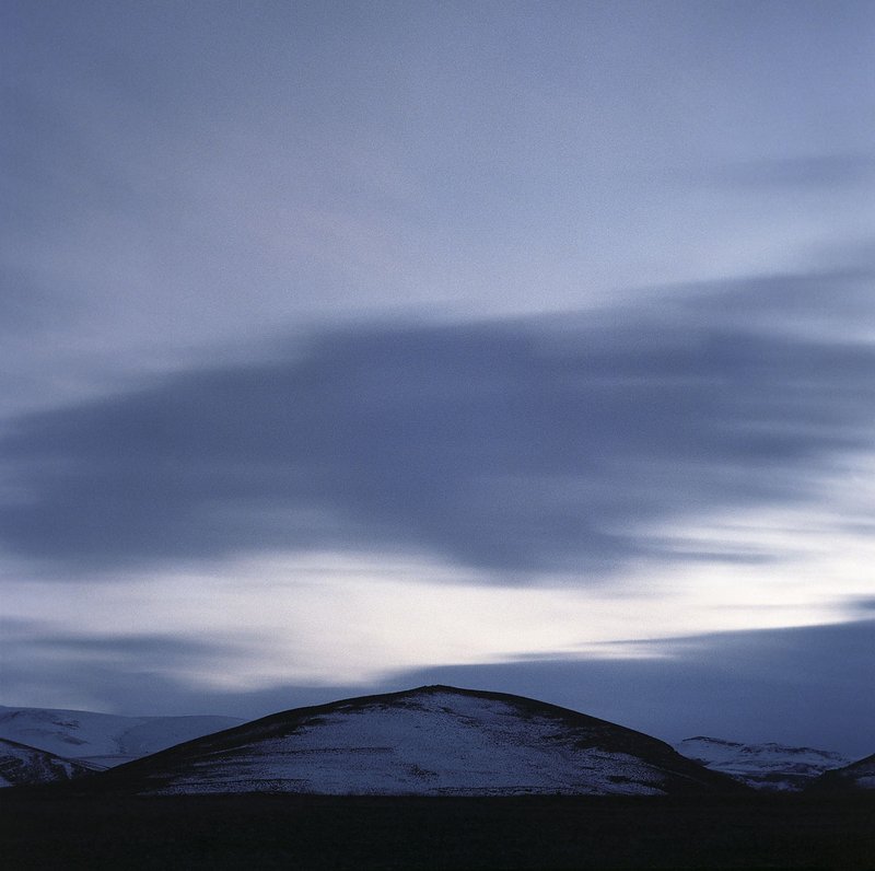 Shahryar Tavakoli, Untitled