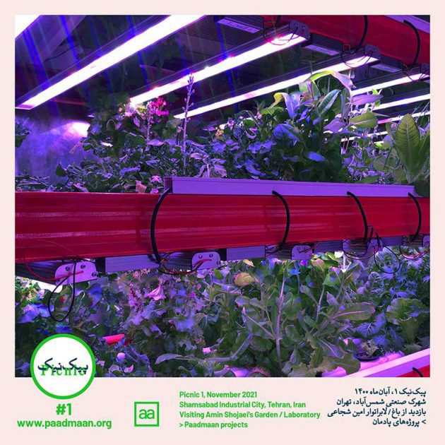 پیک‌نیک۱