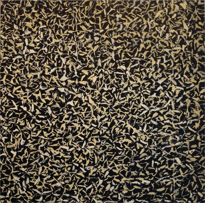 Bijan Daneshmand, Warninglid, 2019