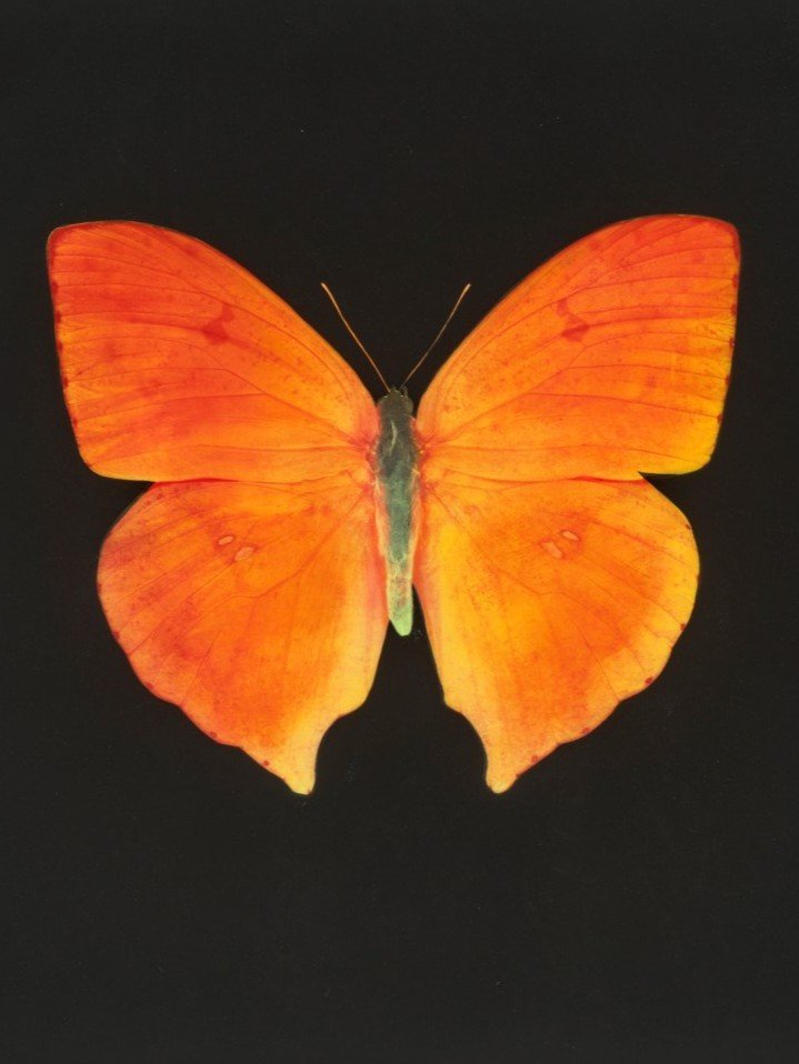 نسخه معاصر: لندن