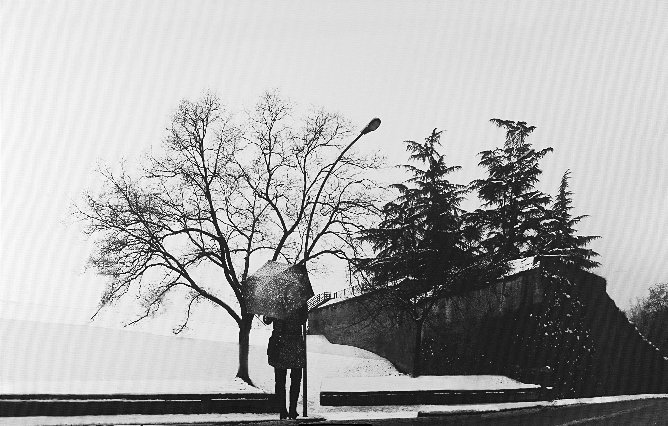 Abbas Gharib, Woman in the Snow, 2012