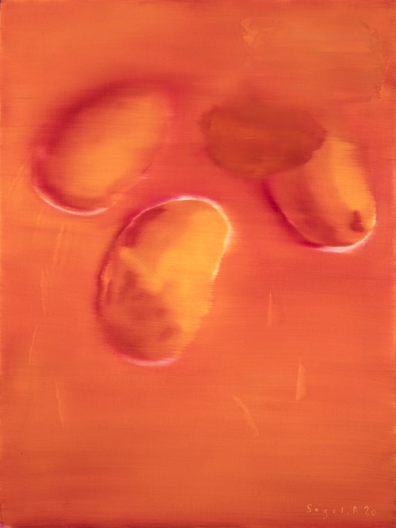 Sogol Ahadi, Untitled, 2020