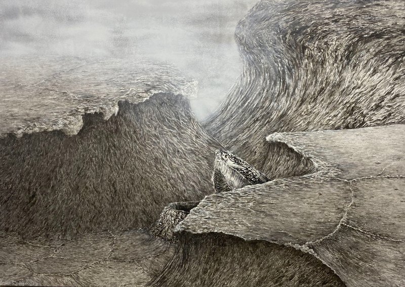 Bahar Didgah, Untitled