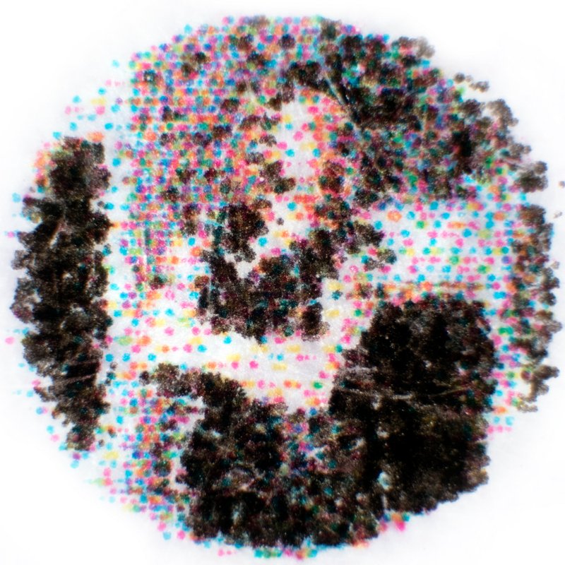 Masood Hajjafarizadeh, Untitled, 2018