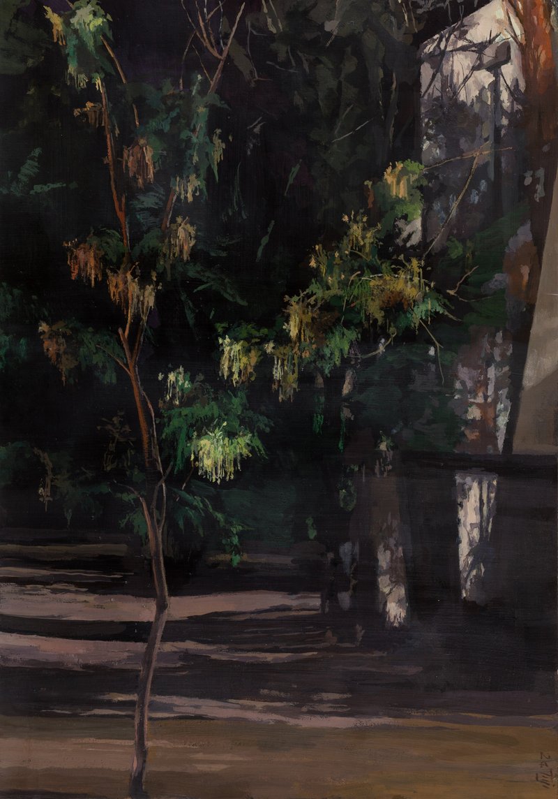 Rozita Nosrati, Untitled