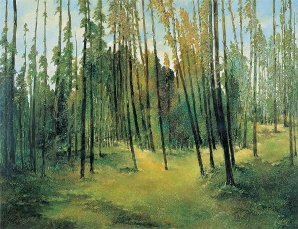 Jalal Shabahangi, Jungle