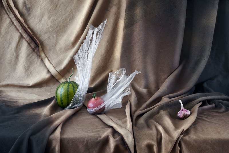 Setare Sanjari, Untitled, 2019